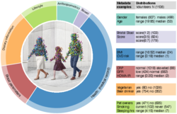 Categories of potential microbiome covariates as collected during the FGFP fecal sampling effort.